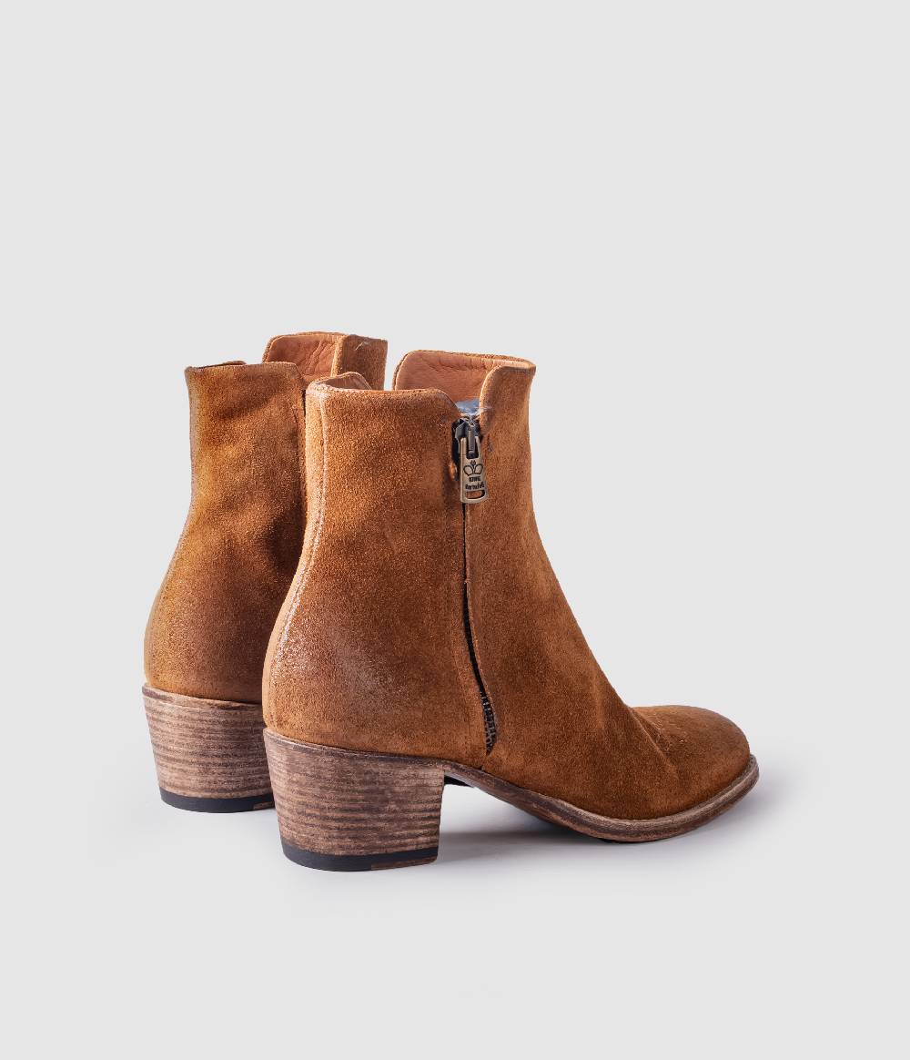 King Tartufoli MIRA Promozione