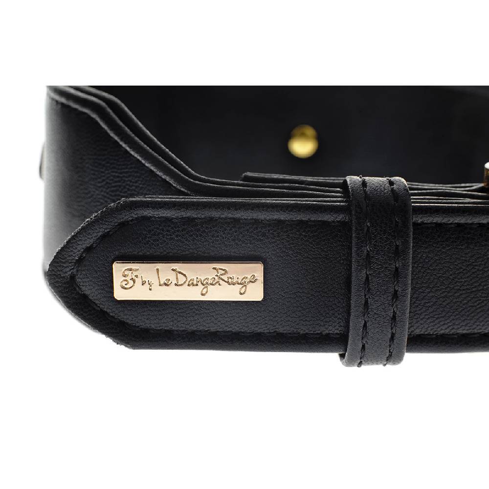 Le Dangerouge Danger big dog collar Acquista Ora