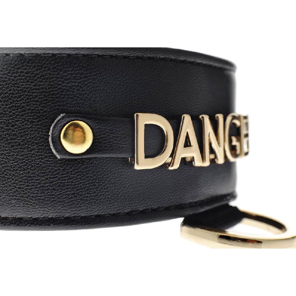 Le Dangerouge Danger big dog collar Acquista Ora