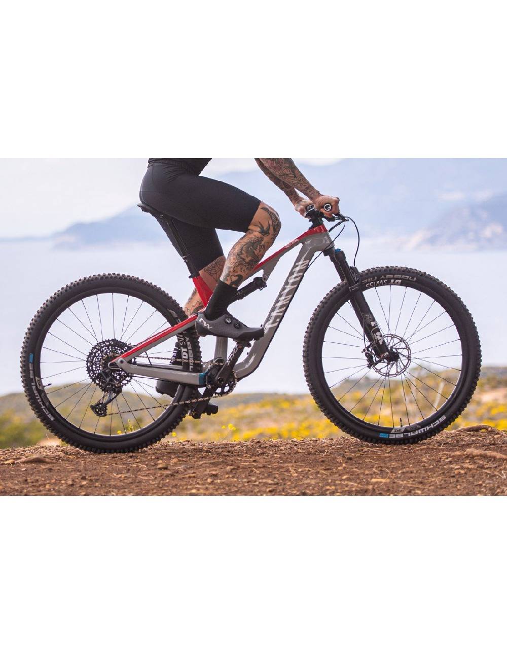 Northwave REBEL 3 Presa