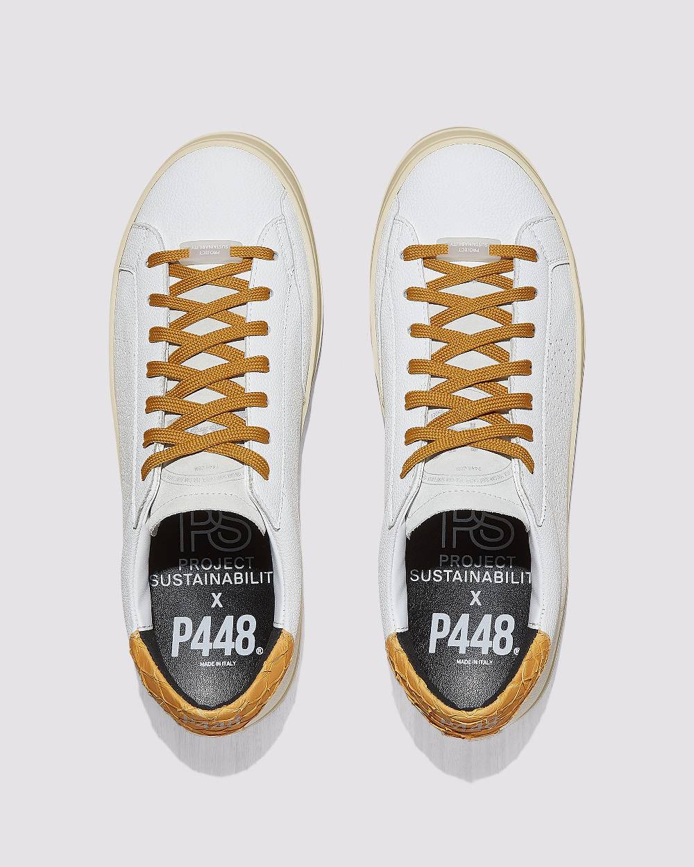 P448 John Carp/Mustard In Linea