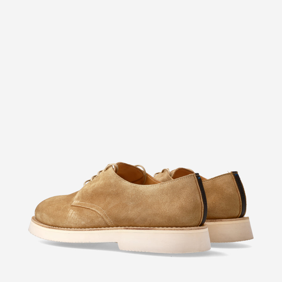 Premiata Stringate in suede 32115L Only for today