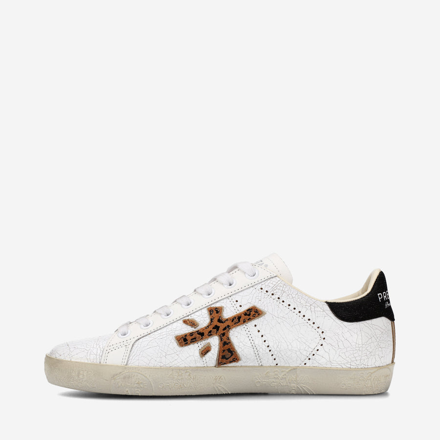Premiata STEVEND 6660 Novità