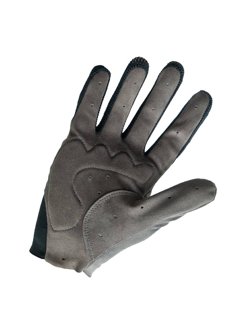 Q36.5 Adventure Guanti Lunghi Grigio Acquista Ora