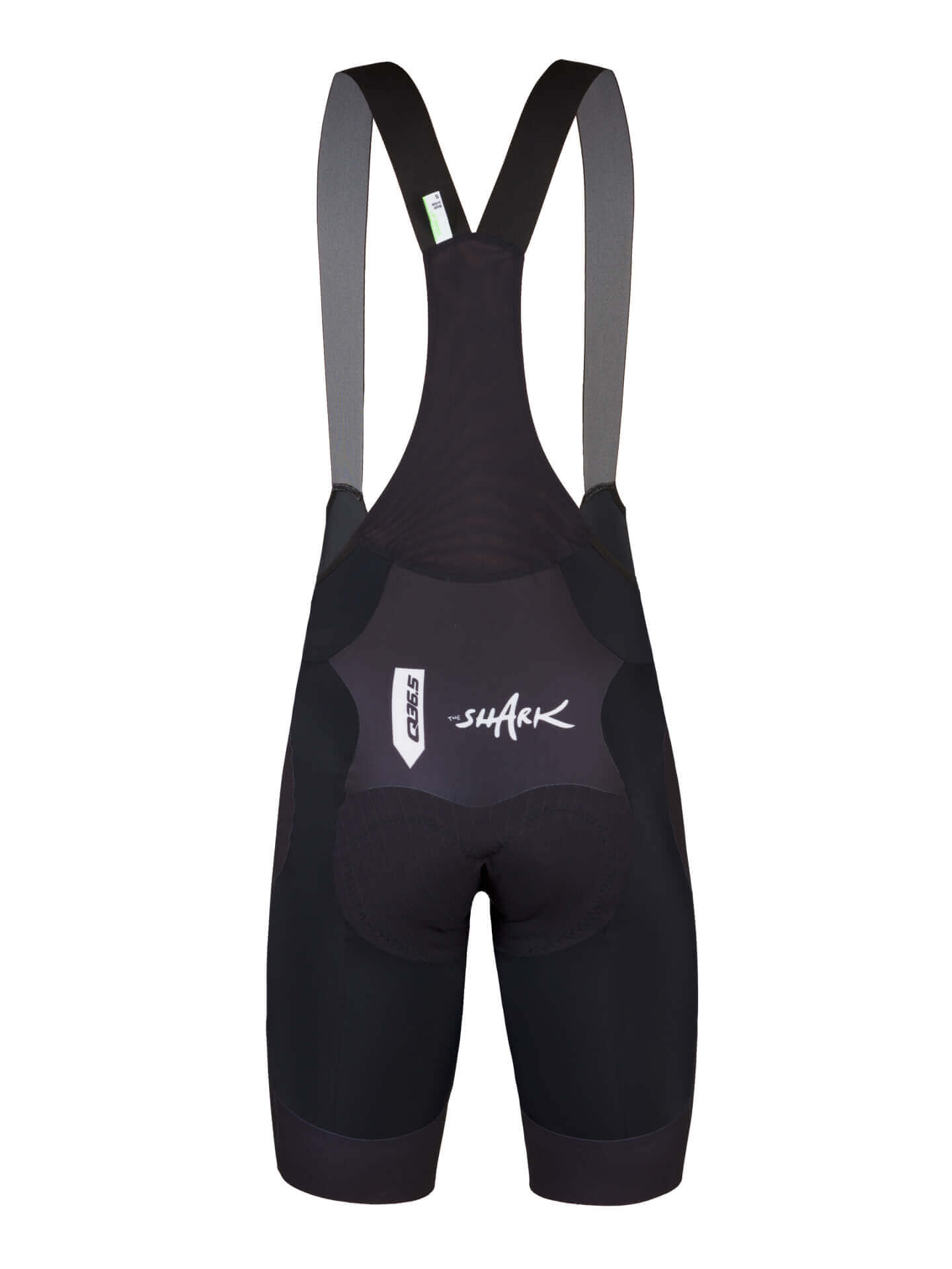 Q36.5 Gregarius Pro Nibali Shark Pantaloncini Consegna Veloce