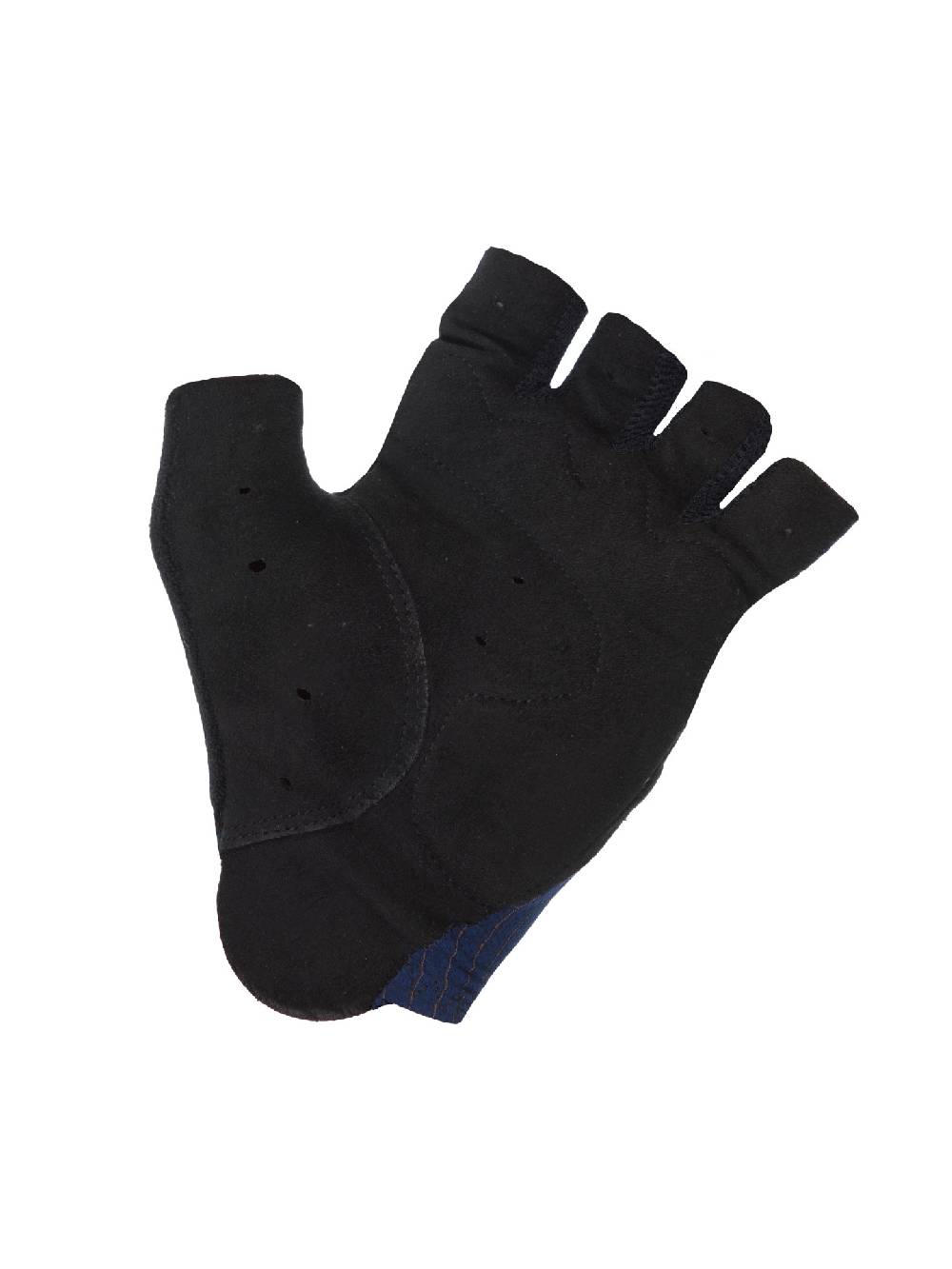 Q36.5 Dottore Pro Guanti Estivi Blu Navy 2025
