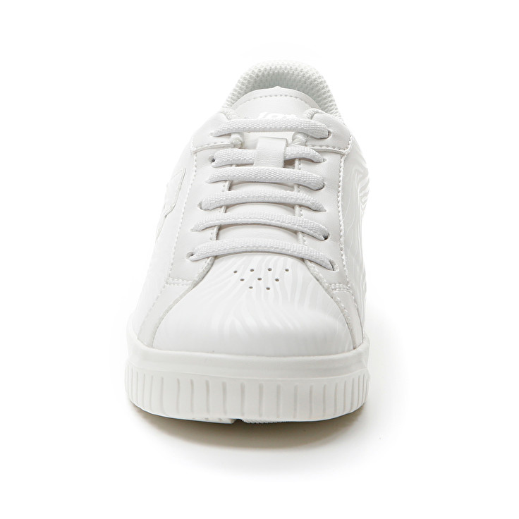 Lotto VENUS AMF II ZEBRA JR Promozione