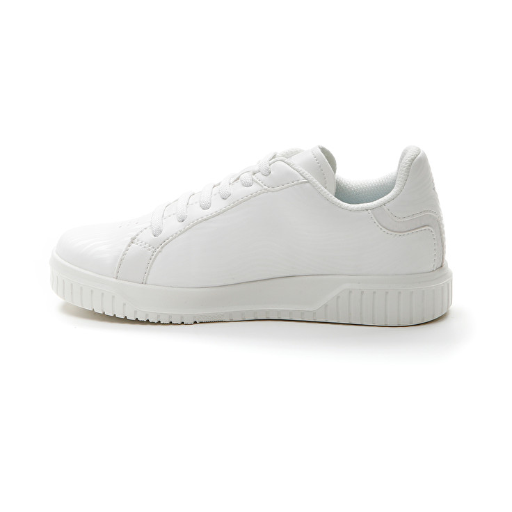 Lotto VENUS AMF II ZEBRA CL Prezzo Ridotto