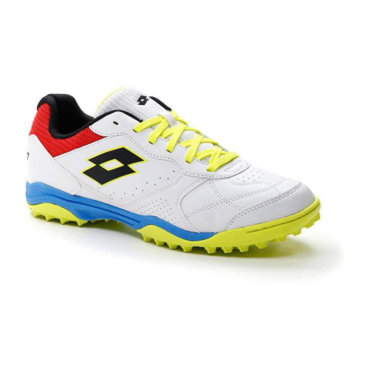 Lotto TACTO 300 VII TF Nuova