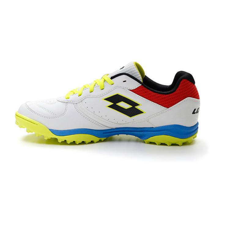 Lotto TACTO 300 VII TF Nuova