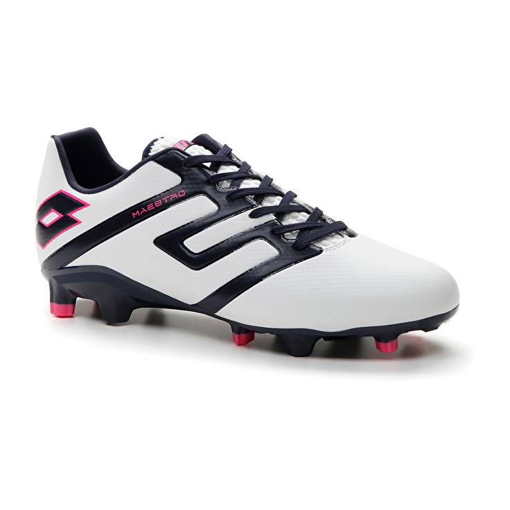 Lotto MAESTRO 300 IV FG Offerta