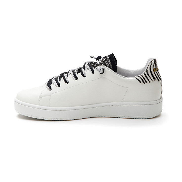 Lotto AUTOGRAPH ZEBRA W Convenienza