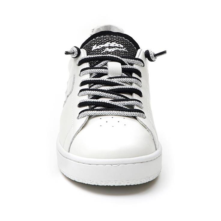 Lotto AUTOGRAPH ZEBRA W Convenienza