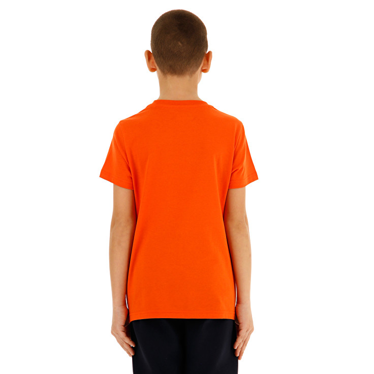 Lotto DREAMS B III TEE BS JS Offerte