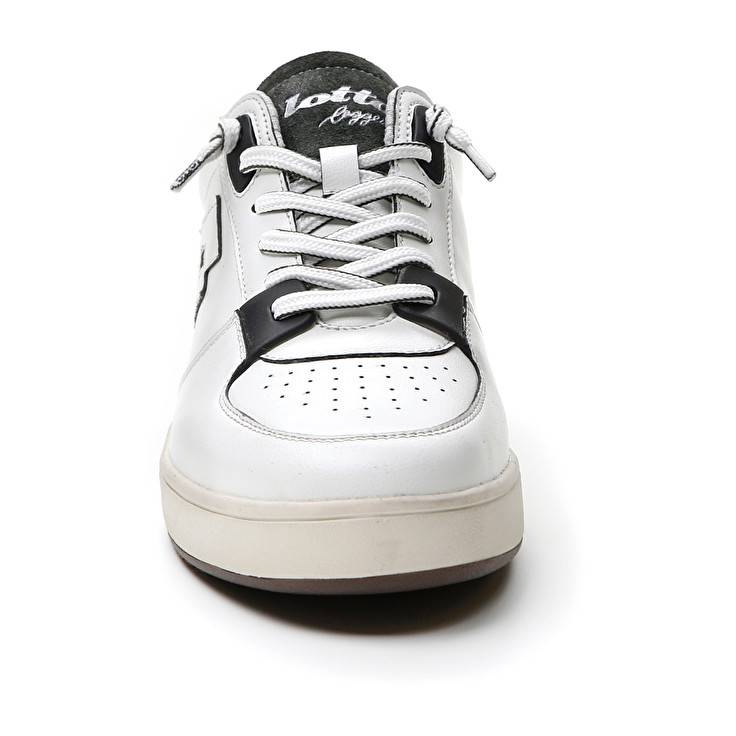 Lotto SIGNATURE EDGE Hotsell