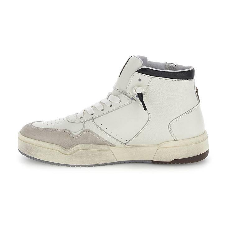 Lotto HOOP STARS HIGH SUEDE Acquista Ora