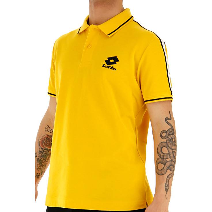 Lotto POLO LIPARI PQ Consegna Veloce