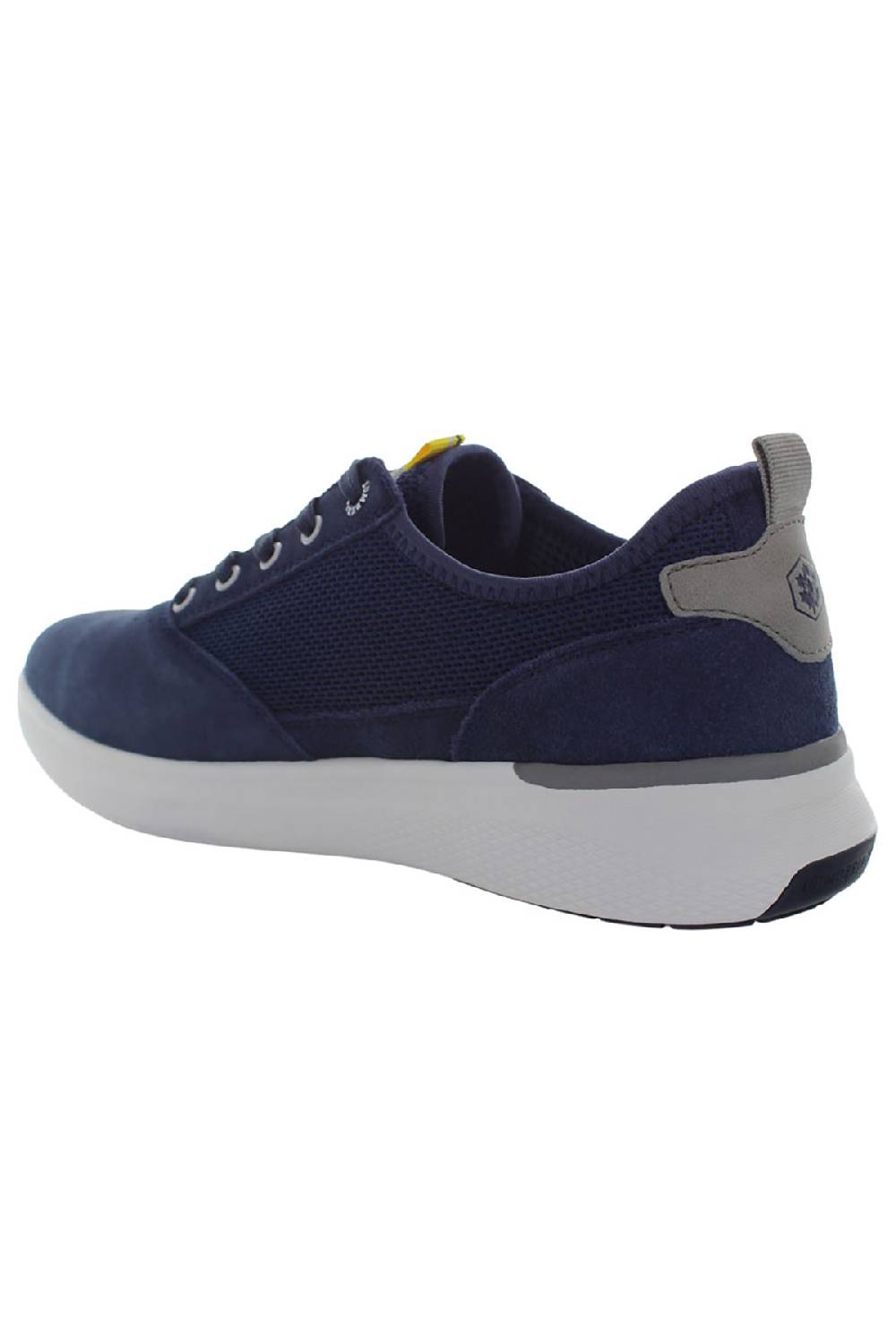LumberJack NEIL SNEAKER UOMO Vendite Flash