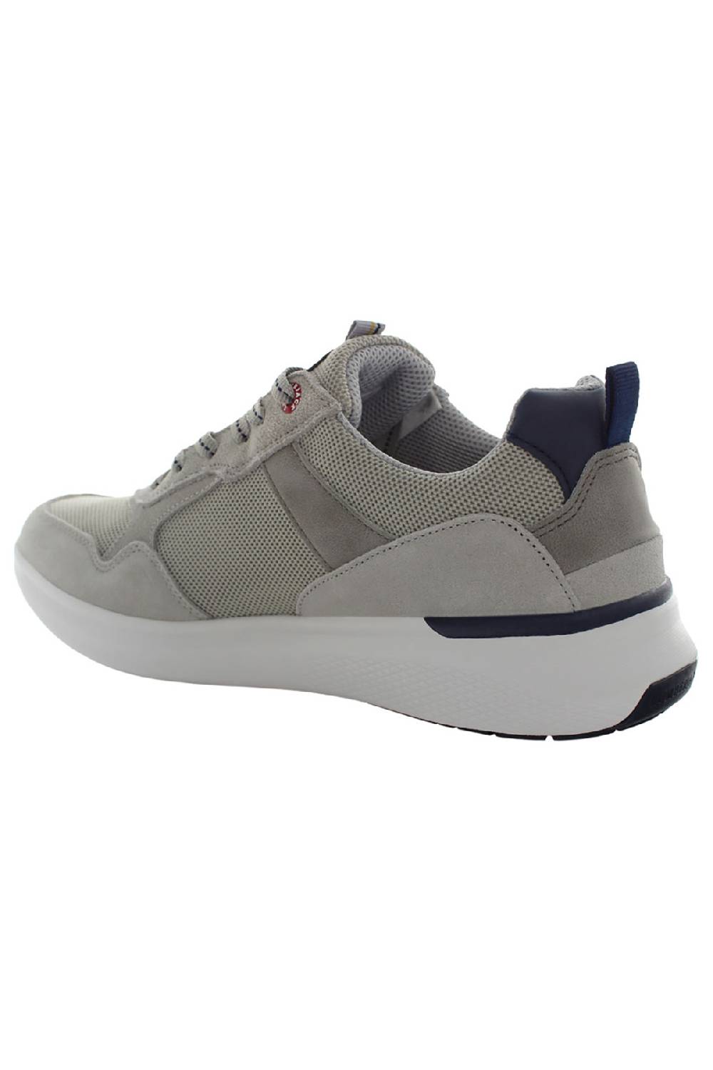 LumberJack NEIL SNEAKERS UOMO Nuovo